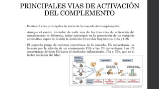 PRINCIPALES VIAS DE ACTIVACIÓN
DEL COMPLEMENTO
• Existen 3 vías principales de inicio de la cascada del complemento.
• Aunque el evento iniciador de cada una de las tres vías de activación del
complemento es diferente, todas convergen en la generación de un complejo
enzimático capaz de dividir la molécula C3 en dos fragmentos, C3a y C3b.
• El segundo grupo de enzimas convertasa de la cascada, C5 convertasas, se
forman por la adición de un componente C3b a las C3 convertasas. Las C5
convertasas dividen C5 hacia el mediador inflamatorio, C5a y C5b, que es el
factor iniciador del Mac.
 