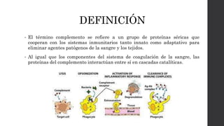 DEFINICIÓN
• El término complemento se refiere a un grupo de proteínas séricas que
cooperan con los sistemas inmunitarios tanto innato como adaptativo para
eliminar agentes patógenos de la sangre y los tejidos.
• Al igual que los componentes del sistema de coagulación de la sangre, las
proteínas del complemento interactúan entre sí en cascadas catalíticas.
 