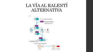 LA VÍAAL RALENTÍ
ALTERNATIVA
 