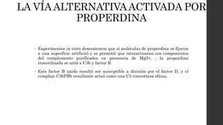 LA VÍAALTERNATIVAACTIVADA POR
PROPERDINA
• Experimentos in vitro demostraron que si moléculas de properdina se fijaron
a una superficie artificial y se permitió que interactuaran con componentes
del complemento purificados en presencia de Mg2+, , la properdina
inmovilizada se unió a C3b y factor B.
• Este factor B unido resultó ser susceptible a división por el factor D, y el
complejo C3bPBb resultante actuó como una C3 convertasa eficaz,
 