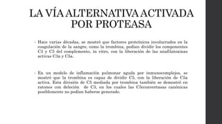 LA VÍAALTERNATIVAACTIVADA
POR PROTEASA
• Hace varias décadas, se mostró que factores proteínicos involucrados en la
coagulación de la sangre, como la trombina, podían dividir los componentes
C3 y C5 del complemento, in vitro, con la liberación de las anafilatoxinas
activas C3a y C5a.
• En un modelo de inflamación pulmonar aguda por inmunocomplejos, se
mostró que la trombina es capaz de dividir C5, con la liberación de C5a
activa. Esta división de C5 mediada por trombina también se demostró en
ratones con deleción de C3, en los cuales las C5cconvertasas canónicas
posiblemente no podían haberse generado.
 