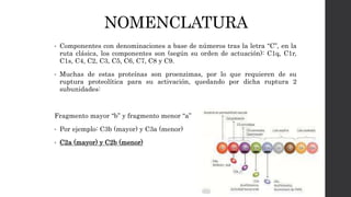 NOMENCLATURA
• Componentes con denominaciones a base de números tras la letra “C”, en la
ruta clásica, los componentes son (según su orden de actuación): C1q, C1r,
C1s, C4, C2, C3, C5, C6, C7, C8 y C9.
• Muchas de estas proteínas son proenzimas, por lo que requieren de su
ruptura proteolítica para su activación, quedando por dicha ruptura 2
subunidades:
Fragmento mayor “b” y fragmento menor “a”
• Por ejemplo: C3b (mayor) y C3a (menor)
• C2a (mayor) y C2b (menor)
 