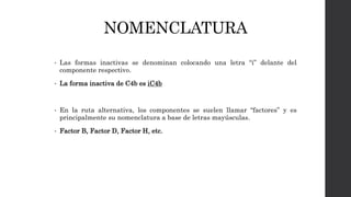NOMENCLATURA
• Las formas inactivas se denominan colocando una letra “i” delante del
componente respectivo.
• La forma inactiva de C4b es iC4b
• En la ruta alternativa, los componentes se suelen llamar “factores” y es
principalmente su nomenclatura a base de letras mayúsculas.
• Factor B, Factor D, Factor H, etc.
 