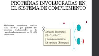 PROTEÍNAS INVOLUCRADAS EN
EL SISTEMA DE COMPLEMENTO
Mediadores enzimáticos, activan
otras enzimas que generan las
proteínas fundamentales de la
cascada del complemento, las C3 y C5
convertasas.
 