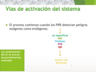  El proceso comienza cuando los PRR detectan peligros
exógenos como endógenos.
10
Los componentes
del SC se activan
secuencialmente(
casacada)
Ac específicos
MBL
Ficolinas
PCR
IgM
Activan vías
diferentes
 
