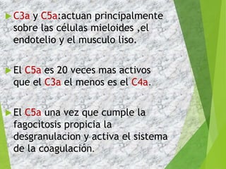  C3a y C5a:actuan principalmente
sobre las células mieloides ,el
endotelio y el musculo liso.
 El C5a es 20 veces mas activos
que el C3a el menos es el C4a.
 El C5a una vez que cumple la
fagocitosis propicia la
desgranulacion y activa el sistema
de la coagulación.
 