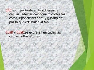 CR3:es importante en la adherencia
celular ,además compone microbianos
como, lipopolisacaridos y glicolipidos
por lo que estimulan al Mo.
C3aR y C5aR:se expresan en todas las
células inflamatorias.
 
