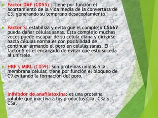  Factor DAF (CD55) : Tiene por función el
acortamiento de la vida media de la convertasa de
C3, generando su temprano desacoplamiento.
 Factor S: estabiliza y evita que el complejo C5b67
pueda dañar células sanas. Ésta complejo muchas
veces puede escapar de su célula diana y dirigirse
hacia células normales con posibilidad de
continuar armando el poro en células sanas. El
factor S es el encargado de evitar que esto suceda
al unírsele.
 HRF y MIRL (CD59): Son proteínas unidas a la
membrana celular, tiene por función el bloqueo de
C9 evitando la formación del poro.

 Inihibdor de anafilatoxina: es una proteína
soluble que inactiva a los productos C4a, C3a y
C5a.
 