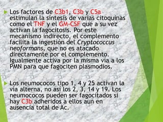  Los factores de C3b1, C3b y C5a
estimulan la síntesis de varias citoquinas
como el TNF y el GM-CSF que a su vez
activan la fagocitosis. Por este
mecanismo indirecto, el complemento
facilita la ingestión del Cryptococcus
neoformans, que no es atacado
directamente por el complemento.
Igualmente activa por la misma vía a los
PMN para que fagociten plasmodios.
 Los neumococos tipo 1, 4 y 25 activan la
vía alterna, no así los 2, 3, 14 y 19. Los
neumococos pueden ser fagocitados si
hay C3b adheridos a ellos aun en
ausencia total de Ac.
 