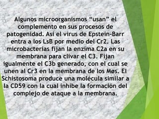 Algunos microorganismos “usan” el
complemento en sus procesos de
patogenidad. Así el virus de Epstein-Barr
entra a los LsB por medio del Cr2. Las
microbacterias fijan la enzima C2a en su
membrana para clivar el C3. Fijan
igualmente el C3b generado, con el cual se
unen al Cr3 en la membrana de los Møs. El
Schistosoma produce una molécula similar a
la CD59 con la cual inhibe la formación del
complejo de ataque a la membrana.
 