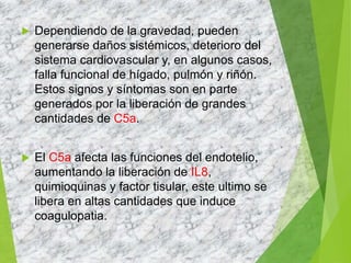  Dependiendo de la gravedad, pueden
generarse daños sistémicos, deterioro del
sistema cardiovascular y, en algunos casos,
falla funcional de hígado, pulmón y riñón.
Estos signos y síntomas son en parte
generados por la liberación de grandes
cantidades de C5a.
 El C5a afecta las funciones del endotelio,
aumentando la liberación de IL8,
quimioquinas y factor tisular, este ultimo se
libera en altas cantidades que induce
coagulopatia.
 