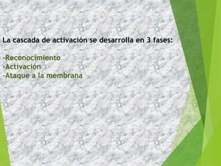 La cascada de activación se desarrolla en 3 fases:
-Reconocimiento
-Activación
-Ataque a la membrana
7
 