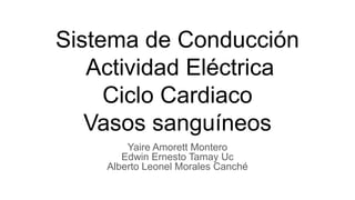 Sistema de Conducción
Actividad Eléctrica
Ciclo Cardiaco
Vasos sanguíneos
Yaire Amorett Montero
Edwin Ernesto Tamay Uc
Alberto Leonel Morales Canché
 