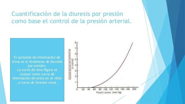 Ver las imágenes de origen