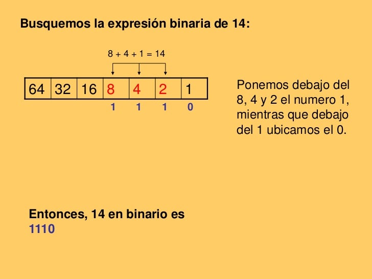 Binarias en mexico