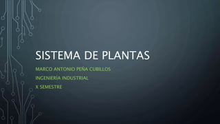 SISTEMA DE PLANTAS
MARCO ANTONIO PEÑA CUBILLOS
INGENIERÍA INDUSTRIAL
X SEMESTRE
 