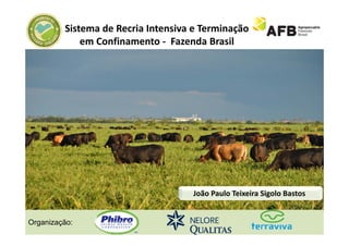 Sistema de Recria Intensiva e Terminação
             em Confinamento ‐ Fazenda Brasil




                                    João Paulo Teixeira Sigolo Bastos 


Organização:
 