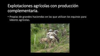 Explotaciones agrícolas con producción
complementaria.
• Propias de grandes haciendas en las que utilizan los equinos para
labores agrícolas.
 