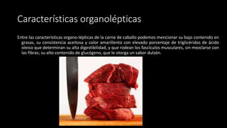 Características organolépticas
Entre las características organo-lépticas de la carne de caballo podemos mencionar su bajo contenido en
grasas, su consistencia aceitosa y color amarillento con elevado porcentaje de triglicéridos de ácido
oleico que determinan su alta digestibilidad, y que rodean los fascículos musculares, sin mezclarse con
las fibras; su alto contenido de glucógeno, que le otorga un sabor dulzón.
 