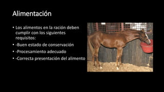 Alimentación
• Los alimentos en la ración deben
cumplir con los siguientes
requisitos:
• -Buen estado de conservación
• -Procesamiento adecuado
• -Correcta presentación del alimento
 