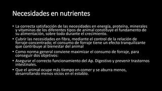 Necesidades en nutrientes
• La correcta satisfacción de las necesidades en energía, proteína, minerales
y vitaminas de los diferentes tipos de animal constituye el fundamento de
su alimentación, sobre todo durante el crecimiento.
• Cubrir las necesidades en fibra, mediante el control de la relación de
forraje-concentrado; el consumo de forraje tiene un efecto tranquilizante
que contribuye al bienestar del animal
• Como norma general conviene maximizar el consumo de forraje, para
conseguir dos objetivos:
• Asegurar el correcto funcionamiento del Ap. Digestivo y prevenir trastornos
intestinales.
• Que el animal ocupe más tiempo en comer y se aburra menos,
desarrollando menos vicios en el establo.
 