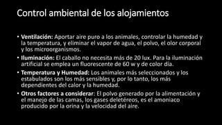 Control ambiental de los alojamientos
• Ventilación: Aportar aire puro a los animales, controlar la humedad y
la temperatura, y eliminar el vapor de agua, el polvo, el olor corporal
y los microorganismos.
• Iluminación: El caballo no necesita más de 20 lux. Para la iluminación
artificial se emplea un fluorescente de 60 w y de color día.
• Temperatura y Humedad: Los animales más seleccionados y los
estabulados son los más sensibles y, por lo tanto, los más
dependientes del calor y la humedad.
• Otros factores a considerar: El polvo generado por la alimentación y
el manejo de las camas, los gases deletéreos, es el amoniaco
producido por la orina y la velocidad del aire.
 