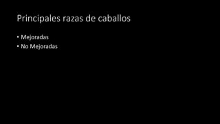 Principales razas de caballos
• Mejoradas
• No Mejoradas
 
