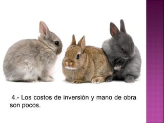 4.- Los costos de inversión y mano de obra
son pocos.
 