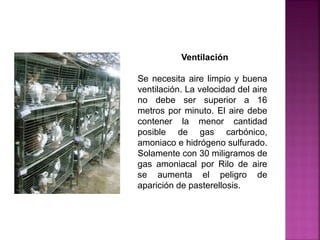 Se necesita aire limpio y buena
ventilación. La velocidad del aire
no debe ser superior a 16
metros por minuto. El aire debe
contener la menor cantidad
posible de gas carbónico,
amoniaco e hidrógeno sulfurado.
Solamente con 30 miligramos de
gas amoniacal por Rilo de aire
se aumenta el peligro de
aparición de pasterellosis.
Ventilación
 
