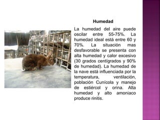 La humedad del aire puede
oscilar entre 55-75%. La
humedad ideal está entre 60 y
70%. La situación mas
desfavorable se presenta con
alta humedad y calor excesivo
(30 grados centígrados y 90%
de humedad). La humedad de
la nave está influenciada por la
temperatura, ventilación,
población Cunícola y manejo
de estiércol y orina. Alta
humedad y alto amoniaco
produce rinitis.
Humedad
 