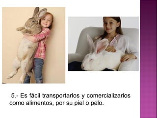 5.- Es fácil transportarlos y comercializarlos
como alimentos, por su piel o pelo.
 