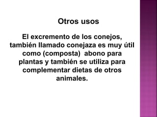 El excremento de los conejos,
también llamado conejaza es muy útil
como (composta) abono para
plantas y también se utiliza para
complementar dietas de otros
animales.
Otros usos
 