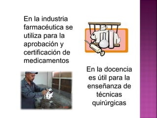 En la industria
farmacéutica se
utiliza para la
aprobación y
certificación de
medicamentos.
En la docencia
es útil para la
enseñanza de
técnicas
quirúrgicas
 