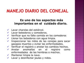 Es uno de los aspectos más
importantes en el cuidado diario.
 Lavar charolas del estiércol.
 Lavar bebederos y comederos.
 Verificar que no falte comida en los comederos
 Llenar los bebederos con agua limpia.
 Inspeccionar los nidos de las conejas para sacar
gazapos muertos y evitar las enfermedades.
 Verificar el registro y anotar los cambios hechos.
 Anotar anomalías en el registro como
enfermedades de las hembras o machos.
 Mantener limpia la nave.
 Lavar y desinfectar jaulas y nidos.
 