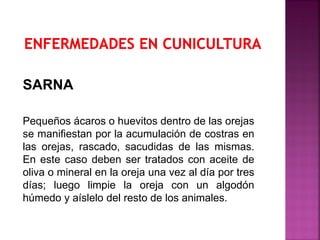 Pequeños ácaros o huevitos dentro de las orejas
se manifiestan por la acumulación de costras en
las orejas, rascado, sacudidas de las mismas.
En este caso deben ser tratados con aceite de
oliva o mineral en la oreja una vez al día por tres
días; luego limpie la oreja con un algodón
húmedo y aíslelo del resto de los animales.
SARNA
 
