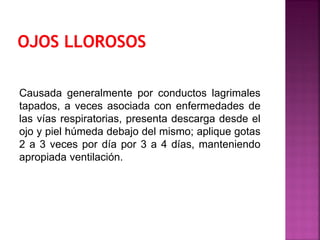 Causada generalmente por conductos lagrimales
tapados, a veces asociada con enfermedades de
las vías respiratorias, presenta descarga desde el
ojo y piel húmeda debajo del mismo; aplique gotas
2 a 3 veces por día por 3 a 4 días, manteniendo
apropiada ventilación.
 