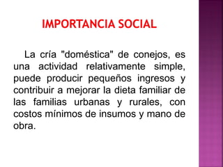 La cría "doméstica" de conejos, es
una actividad relativamente simple,
puede producir pequeños ingresos y
contribuir a mejorar la dieta familiar de
las familias urbanas y rurales, con
costos mínimos de insumos y mano de
obra.
 