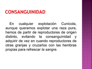 En cualquier explotación Cunícola,
aunque queramos explotar una raza pura,
hemos de partir de reproductores de origen
distinto, evitando la consanguinidad y
adquirir de vez en cuando reproductores de
otras granjas y cruzarlos con las hembras
propias para refrescar la sangre.
 