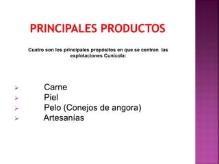 Cuatro son los principales propósitos en que se centran las
explotaciones Cunícola:
 Carne
 Piel
 Pelo (Conejos de angora)
 Artesanías
 