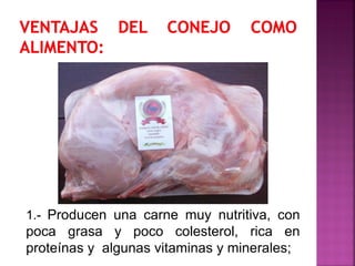 1.- Producen una carne muy nutritiva, con
poca grasa y poco colesterol, rica en
proteínas y algunas vitaminas y minerales;
 