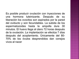 Es posible producir ovulación con inyecciones de
una hormona luteinizante. Después de su
liberación los ovocitos son aspirados por la pared
del oviducto y son fecundables. La subida de los
espermatozoides hasta la ampolla dura 30
minutos. El huevo llega al útero 72 horas después
de la ovulación. La implantación se efectúa 7 días
después del acoplamiento. Únicamente del 80-
70% de los óvulos desprendidos dan conejos
vivos al nacer
 