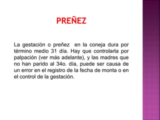La gestación o preñez en la coneja dura por
término medio 31 día. Hay que controlarla por
palpación (ver más adelante), y las madres que
no han parido al 34o. día, puede ser causa de
un error en el registro de la fecha de monta o en
el control de la gestación.
 