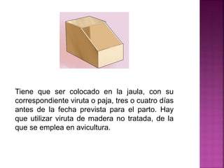 Tiene que ser colocado en la jaula, con su
correspondiente viruta o paja, tres o cuatro días
antes de la fecha prevista para el parto. Hay
que utilizar viruta de madera no tratada, de la
que se emplea en avicultura.
 
