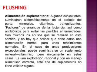 Alimentación suplementaria: Algunos cunicultores,
suministran sistemáticamente en el periodo del
parto, minerales, vitaminas, tranquilizantes,
“Factores” de arranque de la lactancia, así como
antibióticos para evitar las posibles enfermedades.
Son muchos los abusos que se realizan en este
sentido, y no hay que olvidar que debe darse una
alimentación normal para unos rendimientos
normales. En el caso de unas producciones
excepcionales, puede suministrarse un suplemento
mineral—vitamínico, pero únicamente en estos
casos. Es una explotación racional y con un manejo
alimenticio correcto, este tipo de suplementos no
tiene validez alguna.
 