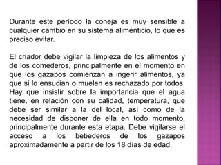 Durante este período la coneja es muy sensible a
cualquier cambio en su sistema alimenticio, lo que es
preciso evitar.
El criador debe vigilar la limpieza de los alimentos y
de los comederos, principalmente en el momento en
que los gazapos comienzan a ingerir alimentos, ya
que si lo ensucian o muelen es rechazado por todos.
Hay que insistir sobre la importancia que el agua
tiene, en relación con su calidad, temperatura, que
debe ser similar a la del local, así como de la
necesidad de disponer de ella en todo momento,
principalmente durante esta etapa. Debe vigilarse el
acceso a los bebederos de los gazapos
aproximadamente a partir de los 18 días de edad.
 