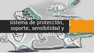 sistema de protección,
soporte, sensibilidad y
nutrición
Laura Andrea Obando Anaya.
spssn
 