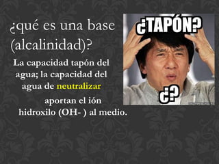 ¿qué es una base
(alcalinidad)?
La capacidad tapón del
agua; la capacidad del
  agua de neutralizar
       aportan el ión
 hidroxilo (OH- ) al medio.
 