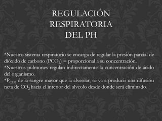REGULACIÓN
                      RESPIRATORIA
                         DEL PH

*Nuestro sistema respiratorio se encarga de regular la presión parcial de
dióxido de carbono (PCO2) = proporcional a su concentración.
*Nuestros pulmones regulan indirectamente la concentración de ácido
del organismo.
*PCO2 de la sangre mayor que la alveolar, se va a producir una difusión
neta de CO2 hacia el interior del alveolo desde donde será eliminado.
 