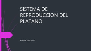 SISTEMA DE
REPRODUCCION DEL
PLATANO
XIMENA MARTINEZ
 