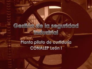 Gestión de la seguridad industrial Planta piloto de curtiduría CONALEP León I 